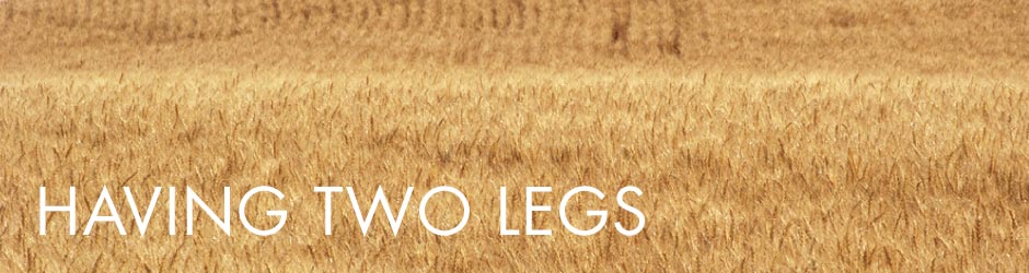 Having Two Legs